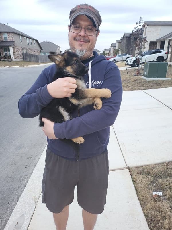 Customer photo of German Shepherd puppy from Spicer M.
