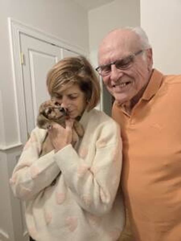 Customer photo of Dachshund, Mini puppy from Luanne P.