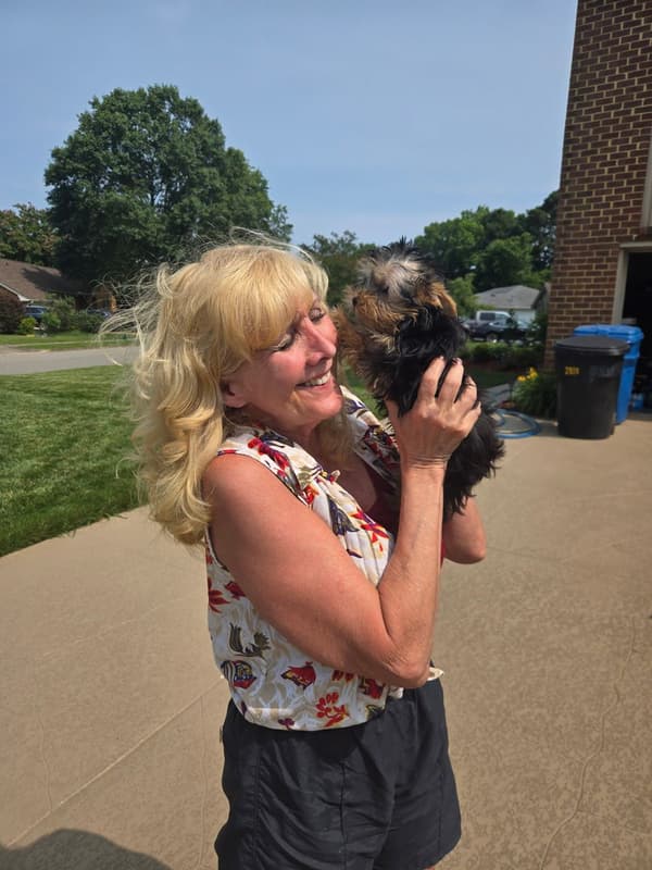 Customer photo of Yorkshire Terrier - Yorkie puppy from Danielle B.