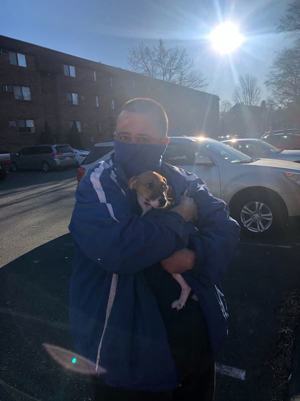 Customer photo of Jack Russell Terrier puppy from John P.