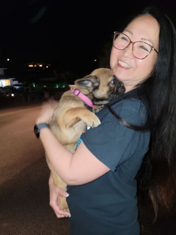 Customer photo of French Bulldog puppy from Sid S.