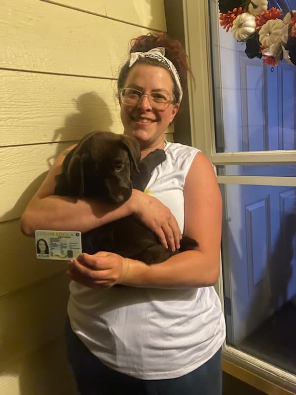 Customer photo of Labrador Retriever puppy from Amanda T.