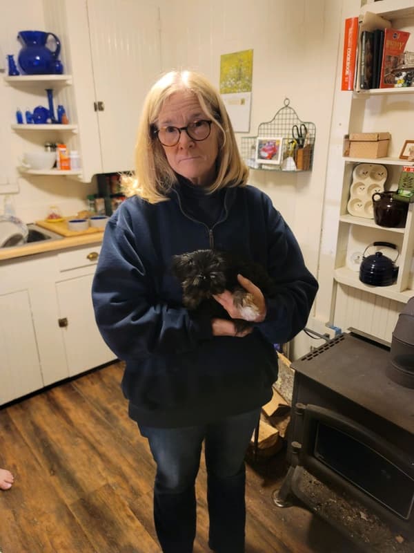 Customer photo of Morkie / Yorktese puppy from Lori B.