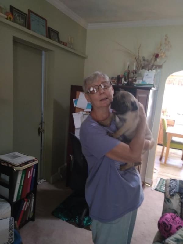 Customer photo of Pug puppy from Sharon B.