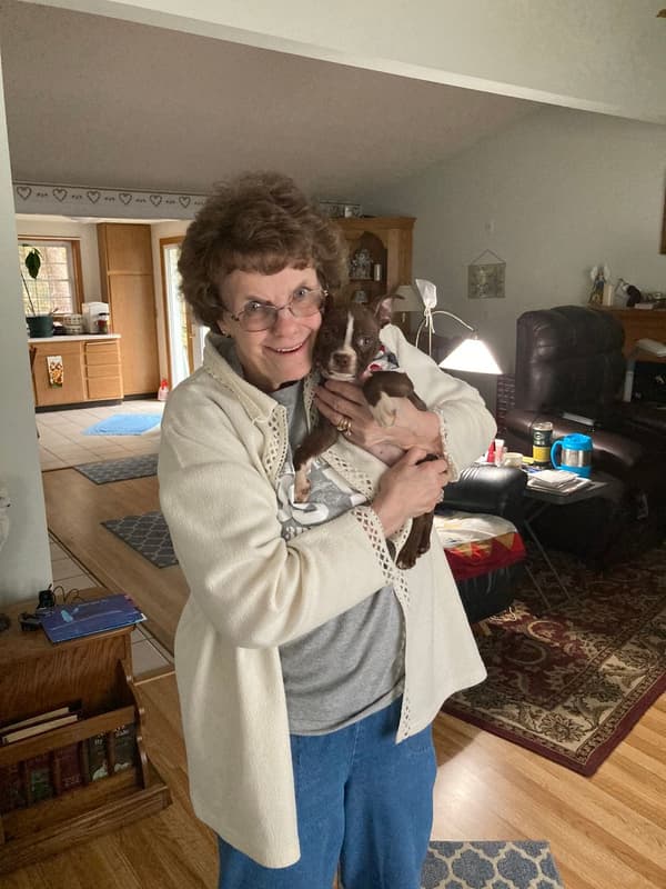 Customer photo of Boston Terrier puppy from Mary B.