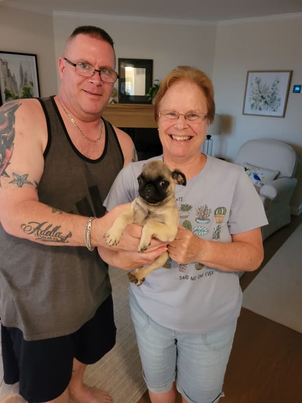 Customer photo of Pug puppy from Karen K.