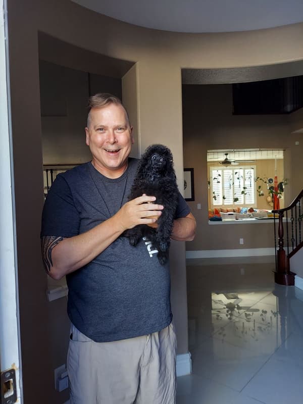 Customer photo of Poodle, Miniature puppy from Vivian F.