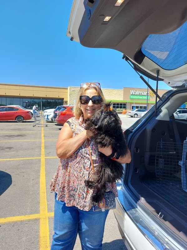 Customer photo of Cavapoo puppy from Carol C. 