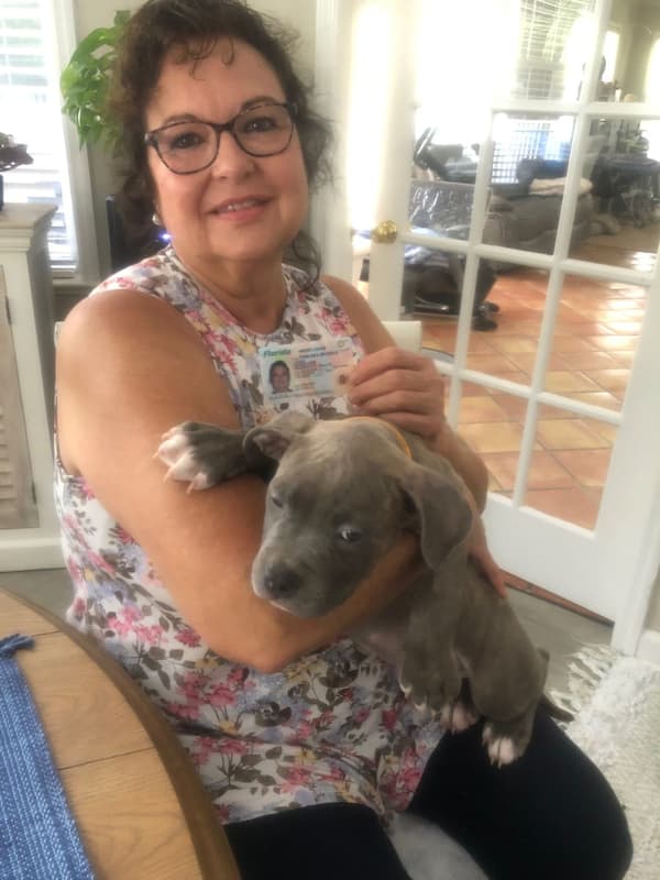 Customer photo of American Pit Bull Terrier puppy from Valerie T.