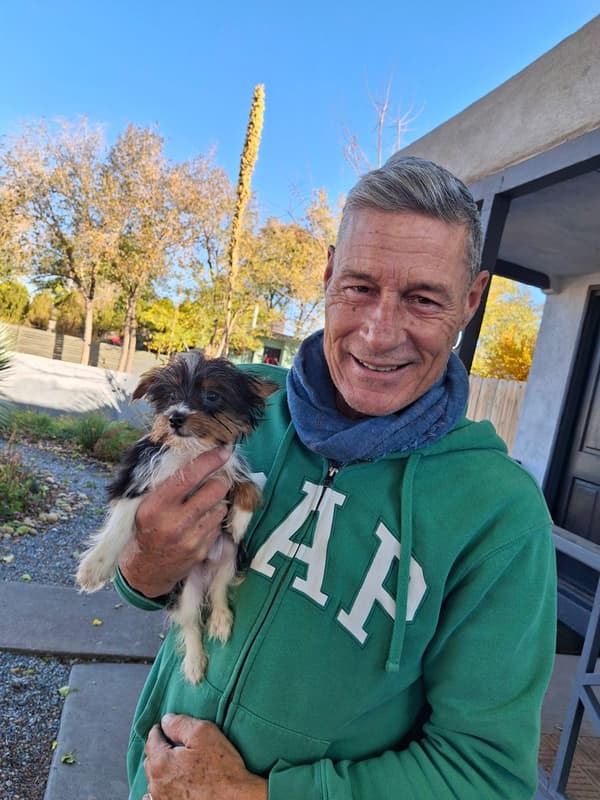 Customer photo of Yorkshire Terrier - Yorkie puppy from Jerry H.