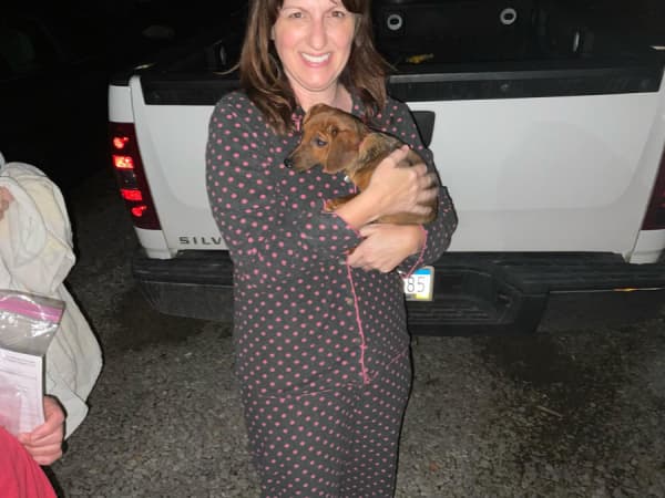 Customer photo of Mixed/Other puppy from Tracy M.