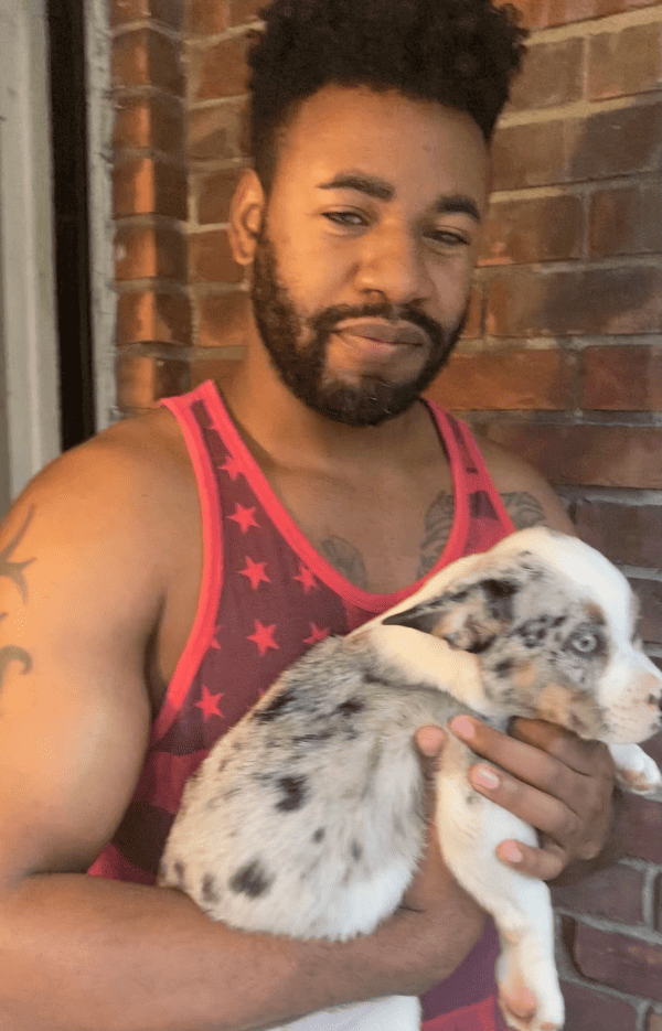 Customer photo of Mixed/Other puppy from Tony W. 