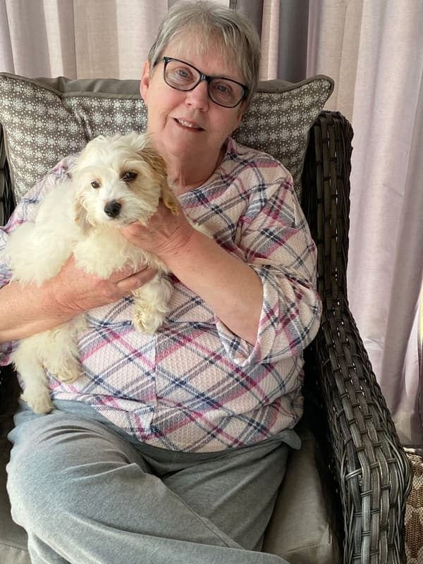 Customer photo of Cockapoo puppy from Janet T.