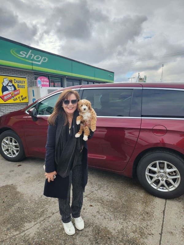 Customer photo of Goldendoodle, Mini puppy from Patricio G.