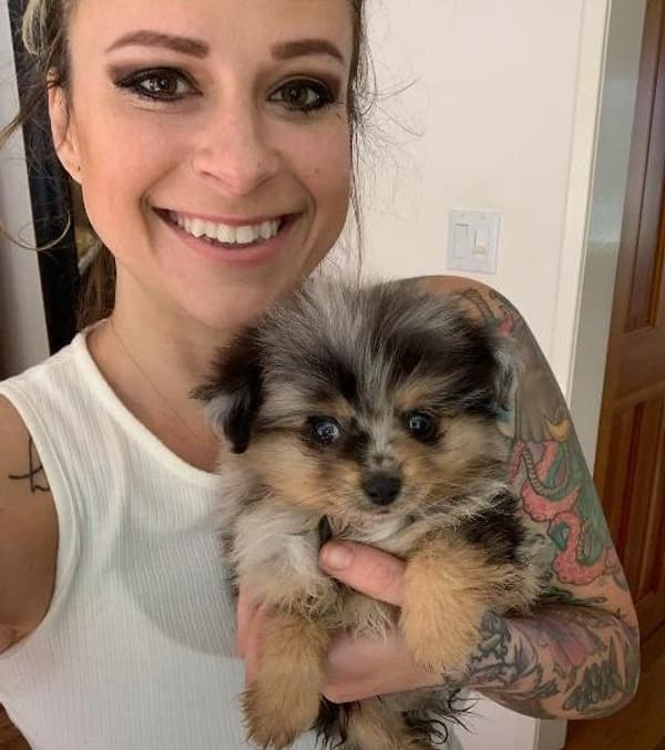 Customer photo of Pomeranian puppy from Samantha R.