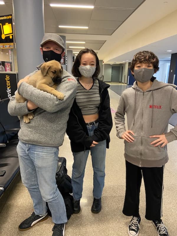 Customer photo of Cane Corso Mastiff puppy from Russell J.