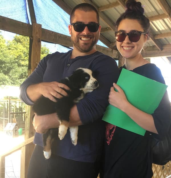 Customer photo of Australian Shepherd puppy from Madeline C.