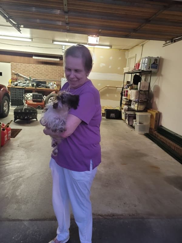 Customer photo of Schnoodle puppy from Mona L.