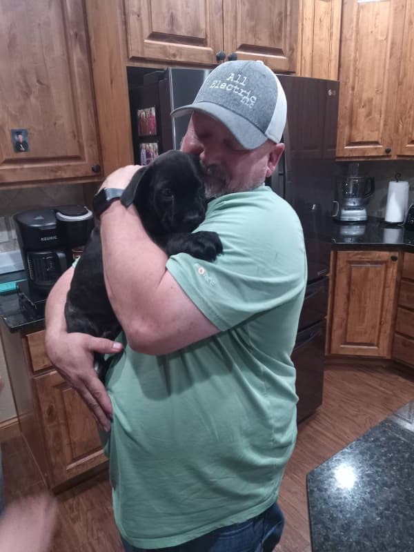 Customer photo of Cane Corso Mastiff puppy from Bud A.