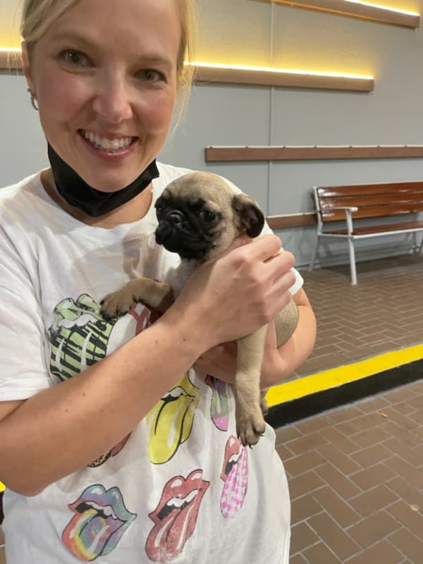 Customer photo of Pug puppy from Chastity H.