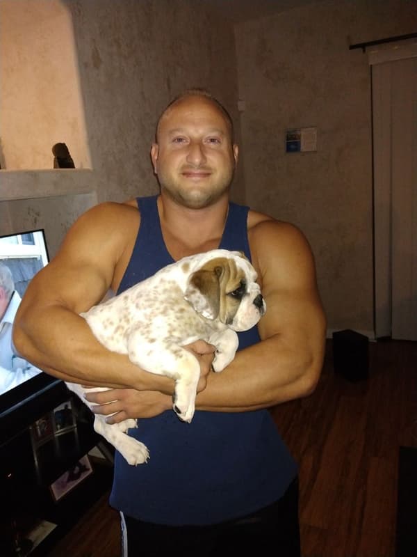 Customer photo of English Bulldog puppy from Vincent G.