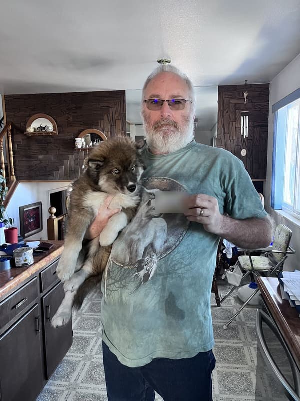 Customer photo of Siberian Husky puppy from Doug K.