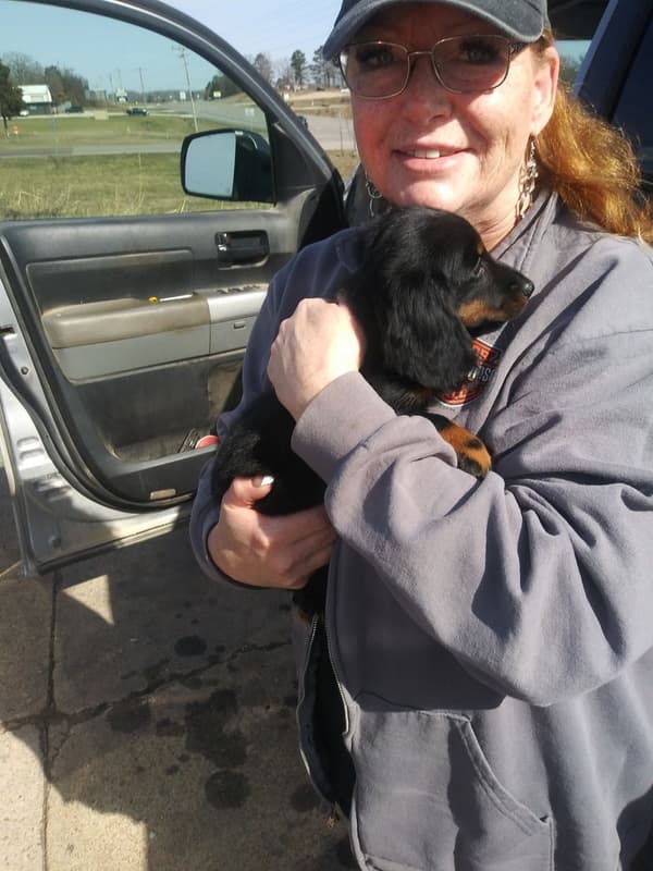Customer photo of Dachshund, Mini puppy from Penny A.