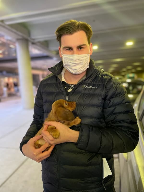 Customer photo of Dachshund, Mini puppy from Jacob P.