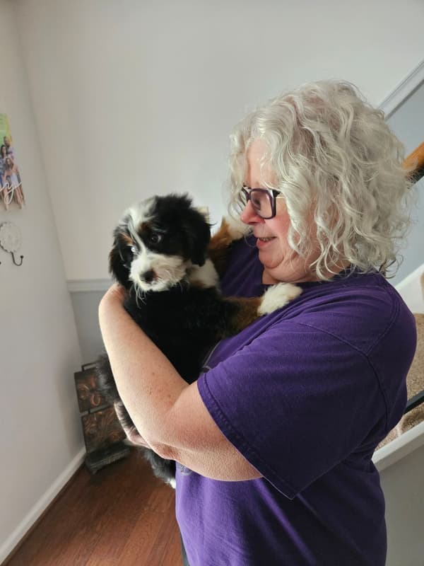 Customer photo of Bernedoodle, Mini puppy from Mary J.
