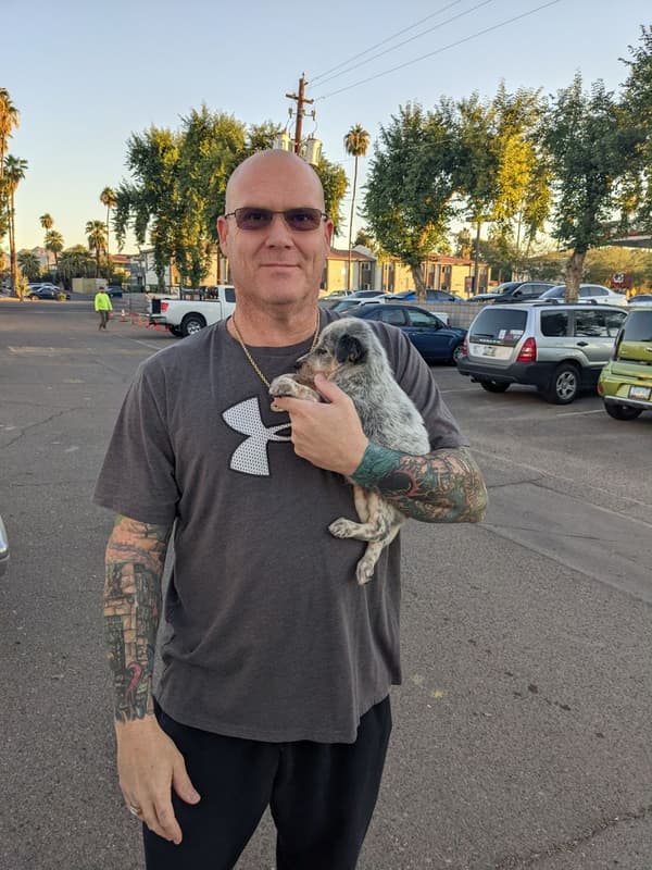 Customer photo of Australian Cattle Dog/Blue Heeler puppy from Steve W.