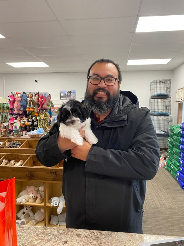 Customer photo of Havanese puppy from Manuel B.