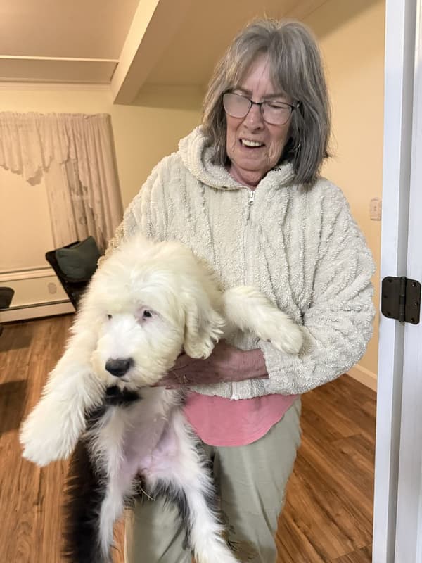 Customer photo of Old English Sheepdog puppy from Betsy L.