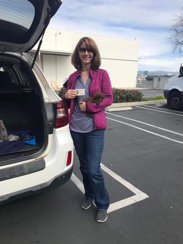 Customer photo of Poodle, Toy puppy from Meg S.