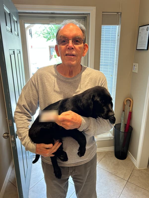 Customer photo of Labrador Retriever puppy from Kenneth M.