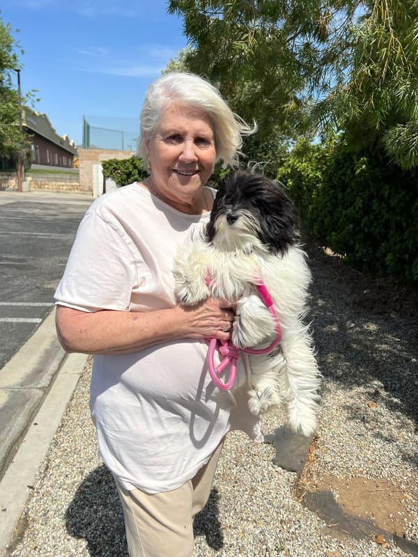 Customer photo of Havanese puppy from Judith W.