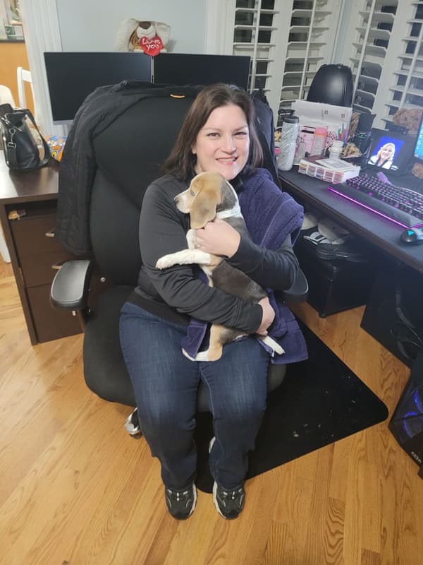 Customer photo of Beagle puppy from Ari G.