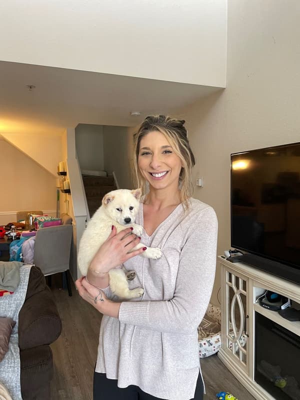 Customer photo of Shiba Inu puppy from Ashley R.