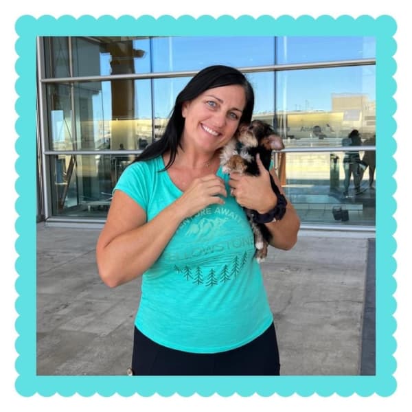 Customer photo of Yorkshire Terrier - Yorkie puppy from Maci L.