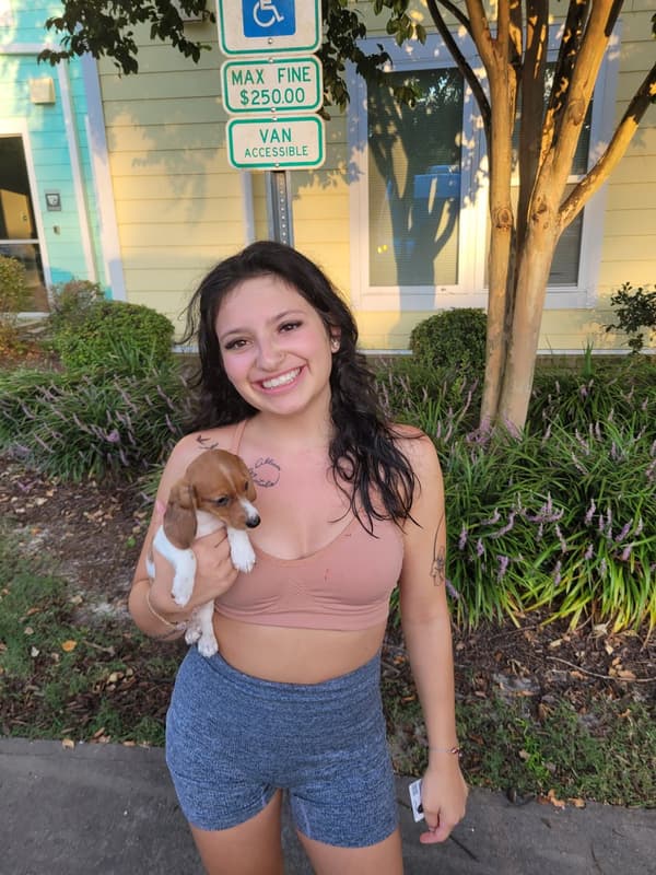 Customer photo of Dachshund, Mini puppy from Natalie N.