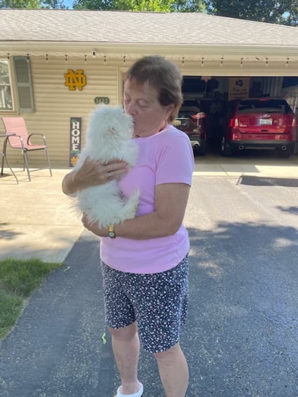 Customer photo of Bichon Frise puppy from Nancy R.