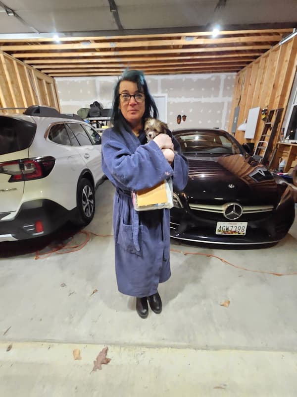 Customer photo of Chihuahua puppy from Wendy B.