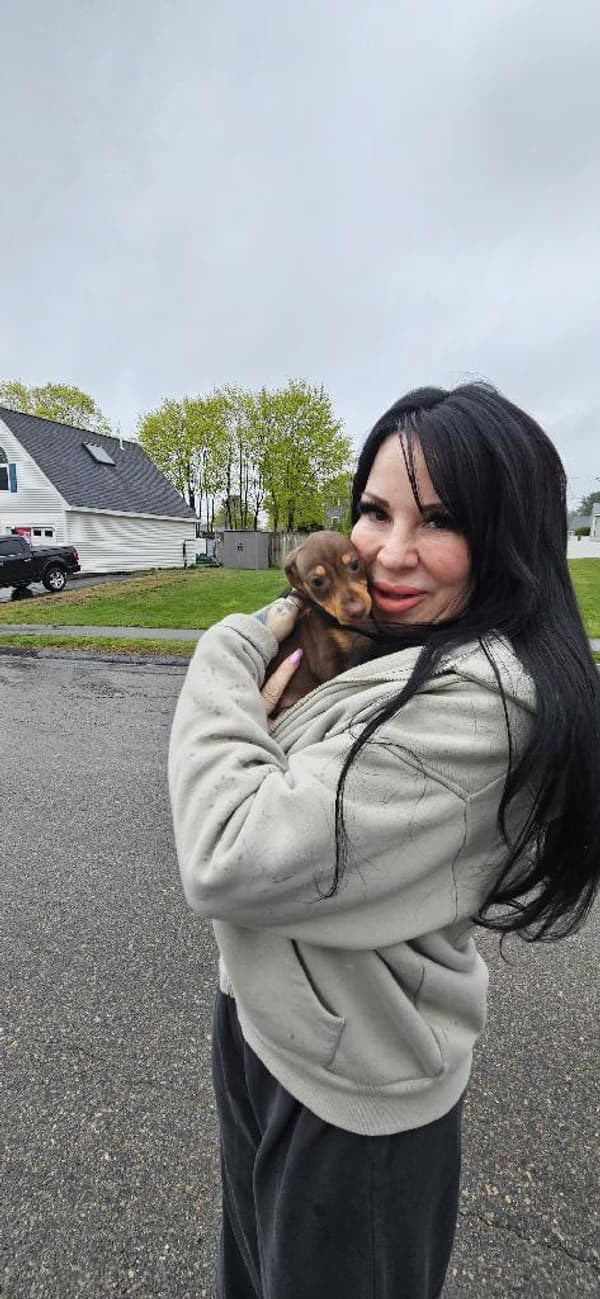 Customer photo of Dachshund, Mini puppy from Kristin F.