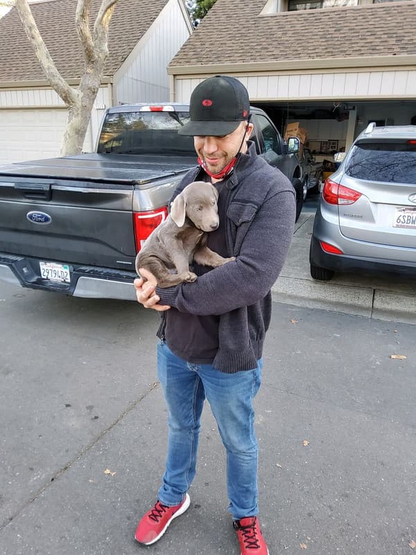 Customer photo of Labrador Retriever puppy from Jason P.