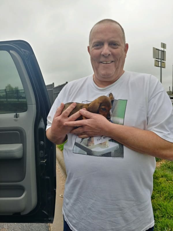 Customer photo of Dachshund, Mini puppy from Bill H.