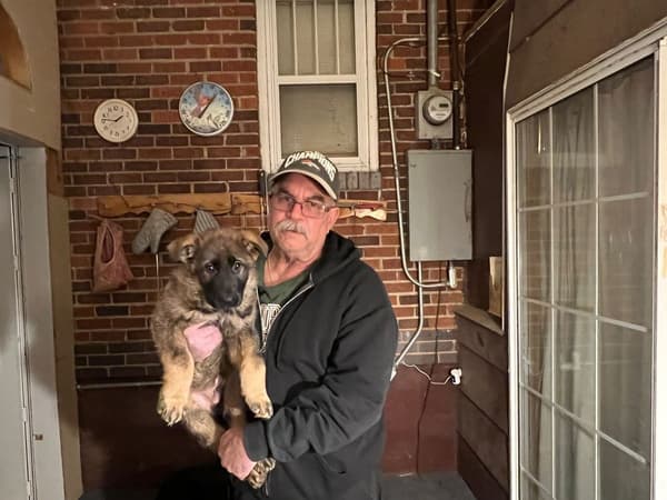 Customer photo of German Shepherd puppy from Ronald O.