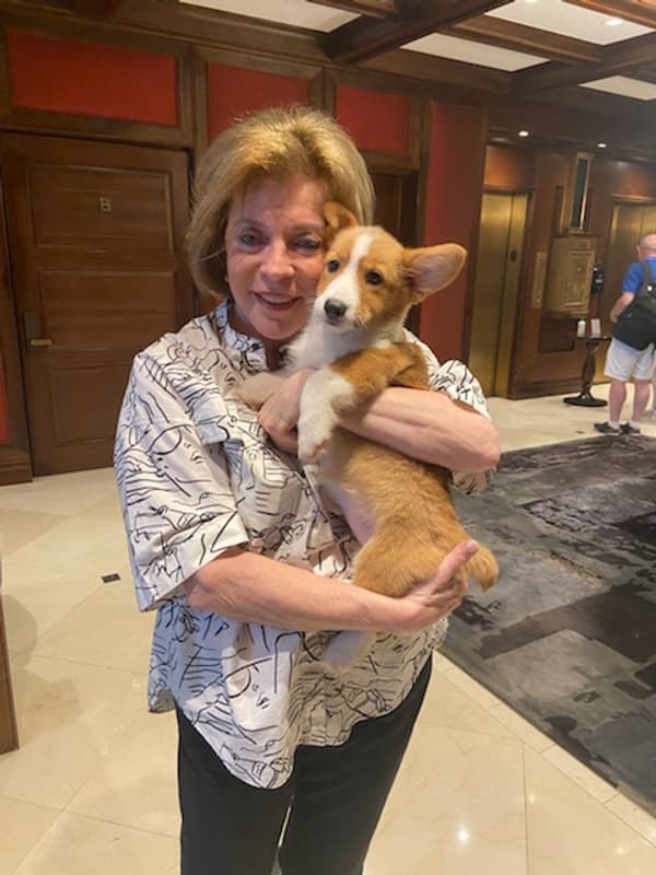 Customer photo of Corgi, Pembroke Welsh puppy from Susan L.