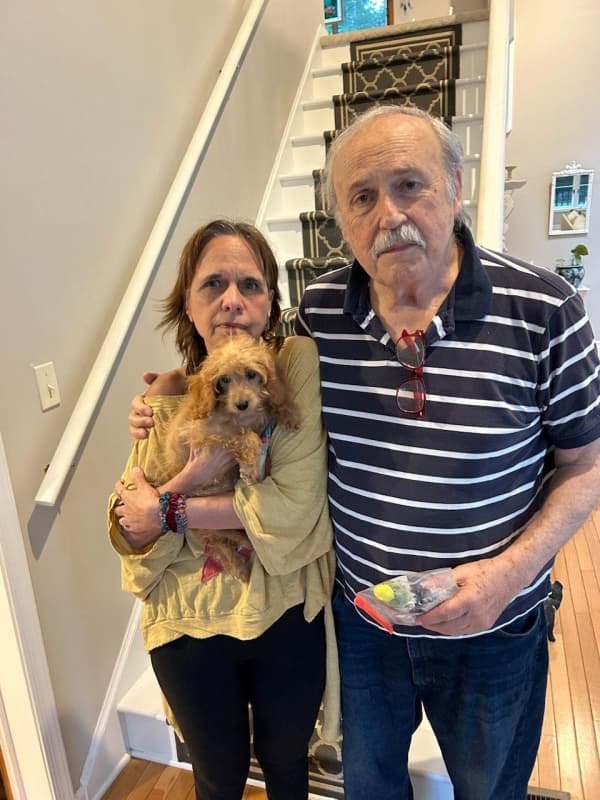 Customer photo of Cockapoo puppy from Richard G. 