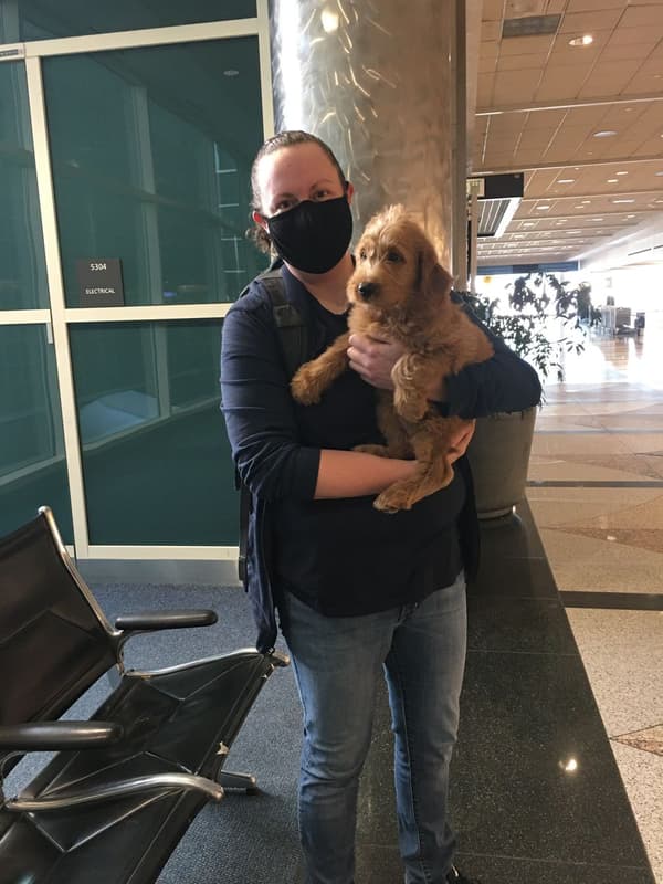 Customer photo of Labradoodle puppy from Caitlin P.