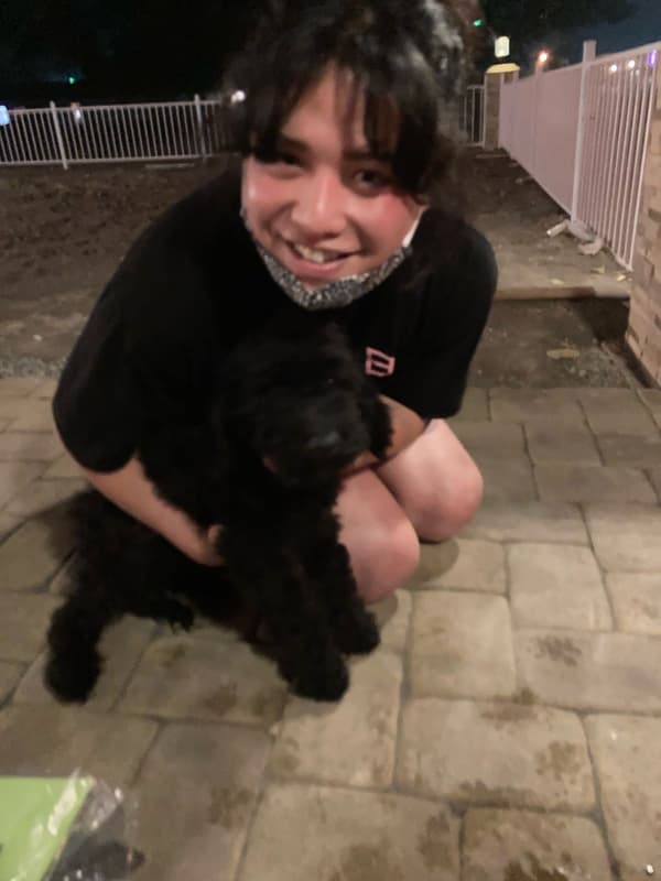 Customer photo of Poodle, Standard puppy from Peabo A.