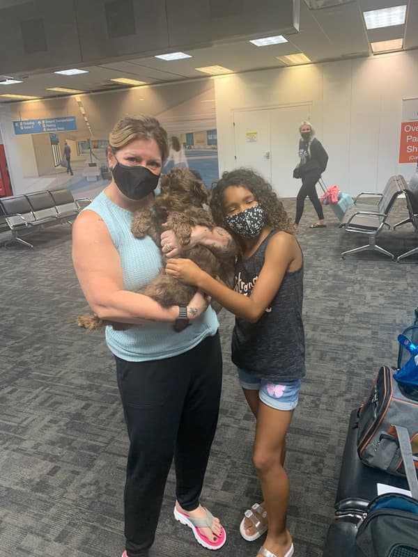 Customer photo of Schnauzer, Miniature puppy from Jane B.